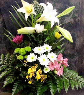 花屋　静岡　花　花や　花束　送料無料　フラワーアレンジメント　プレゼント　ギフト　鉢花　観葉植物　胡蝶蘭　コチョウラン