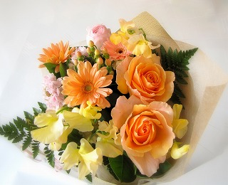 花屋　静岡　花　花や　花束　送料無料　フラワーアレンジメント　プレゼント　ギフト　鉢花　観葉植物　胡蝶蘭　コチョウラン