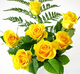 花屋　静岡　花　花や　花束　送料無料　フラワーアレンジメント　プレゼント　ギフト　鉢花　観葉植物　胡蝶蘭　コチョウラン