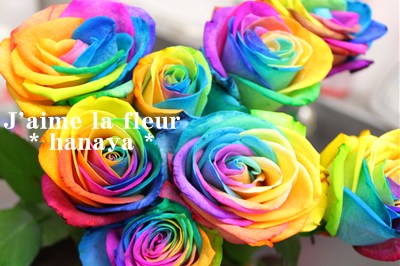 オルゴール レインボーローズプリザーブドフラワー Aqua Timez 虹