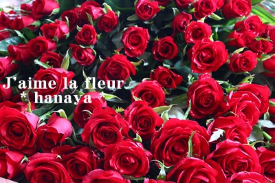 赤いバラ１００本花束