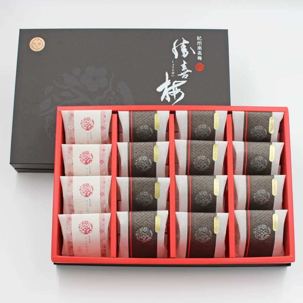 【春季限定】極16包（4種詰合せ）