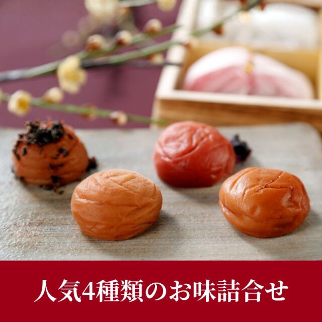 人気の松4種_イメージ画像