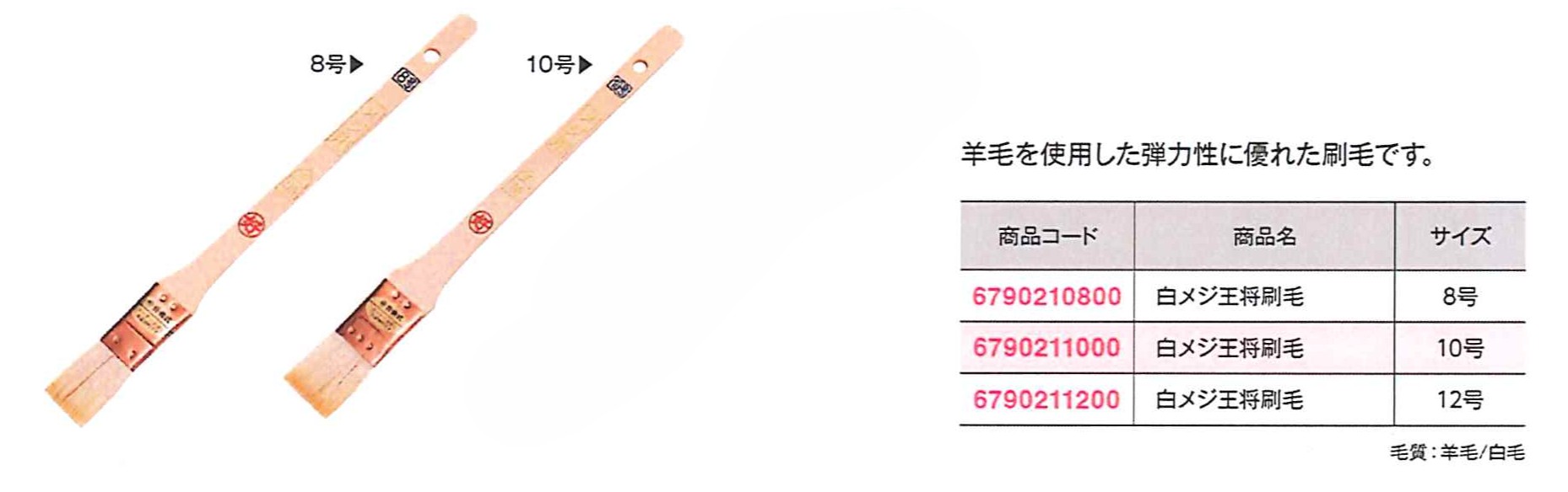 白メジ王将刷毛８号　（１０本）