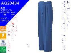 20484