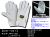 ＣＷ-031