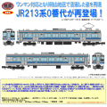 西*湊様 パーミルキット213系体質改善車 西*湊様 パーミルキット213系体質改善車