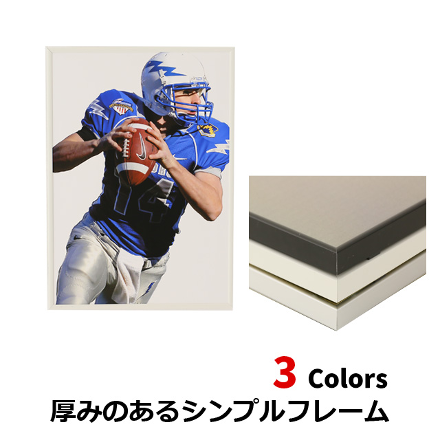 アモット