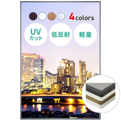 イレパネビューカバー説明