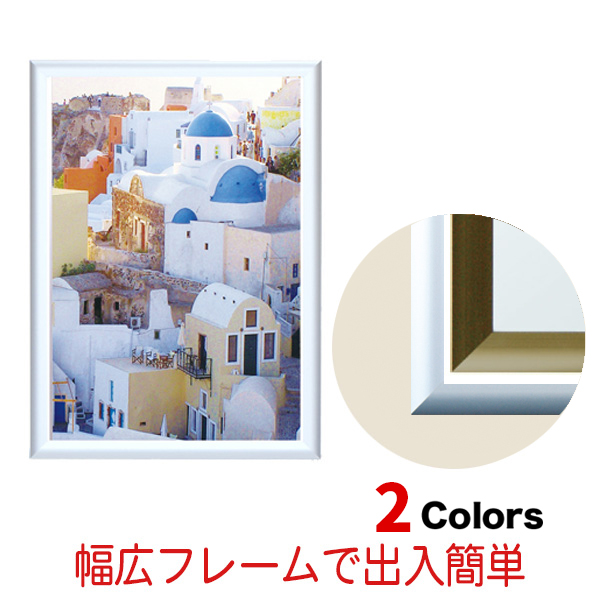 フラッパカラー