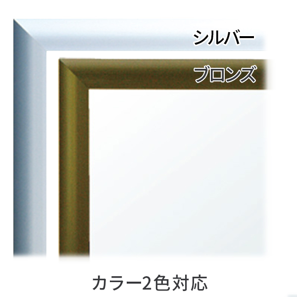 フラッパカラー