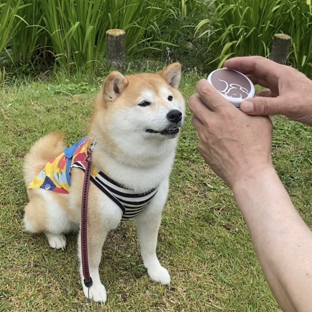 DUVオリジナルおやつ缶