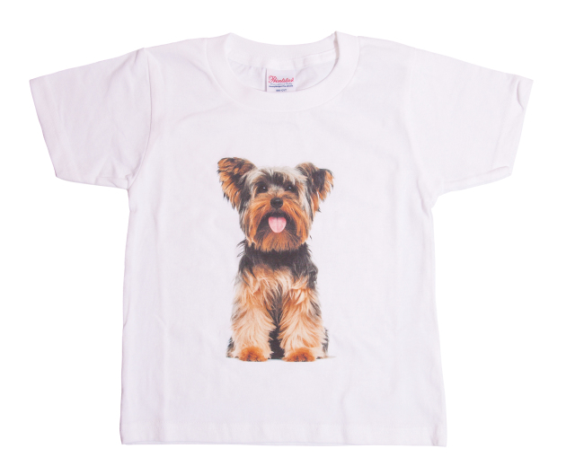 Tシャツ