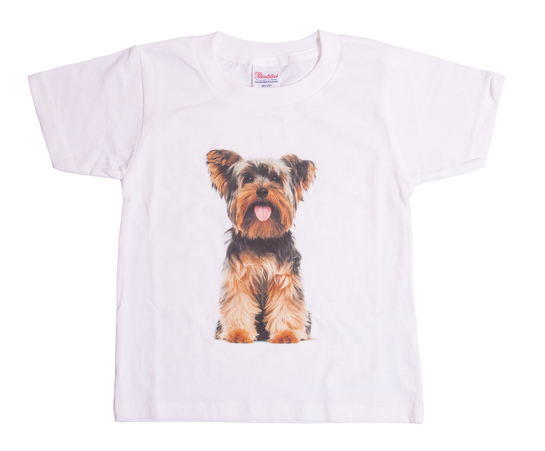 Tシャツ