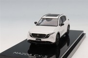 HJ641093W.jpg