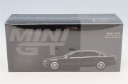 MGT01242-L.jpg