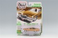 FJCAWSP210-A.jpg