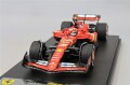 LSF1063.jpg