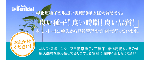 良い種子良い時期良い品質！紅大貿易の緑化用種子