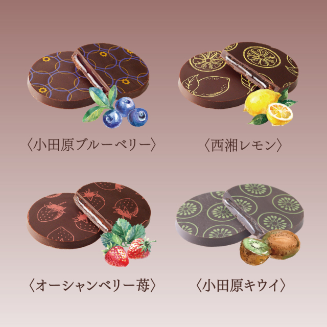 ショコラ・ジュレ<4個入>完熟フルーツとビターチョコのハーモニー