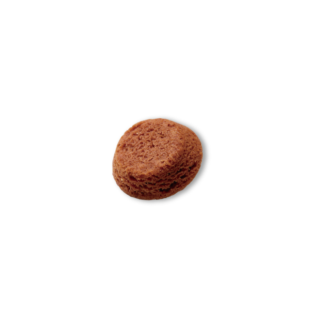 防災スイーツチョコ_粒_1000