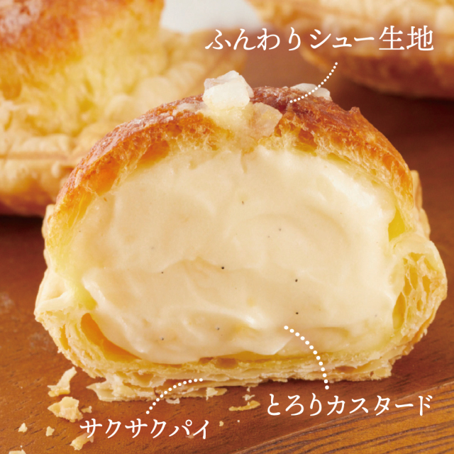 冷凍ミニパイカスター断面説明_1000