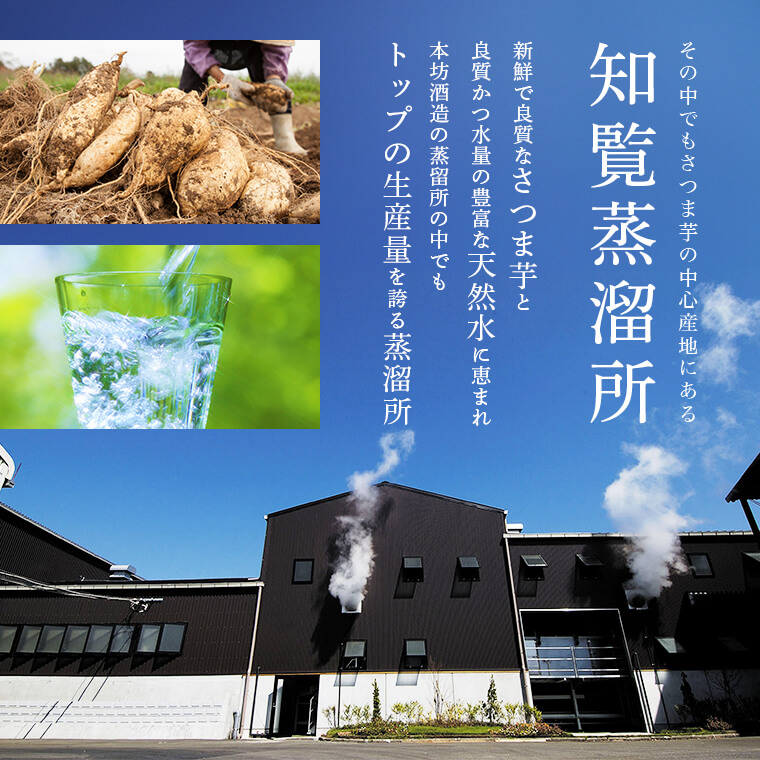 焼酎セット 知覧蒸溜所 杜氏厳選の焼酎 6本セット