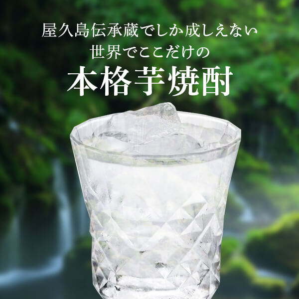 焼酎 屋久杉 25度 1800ml 6本セット