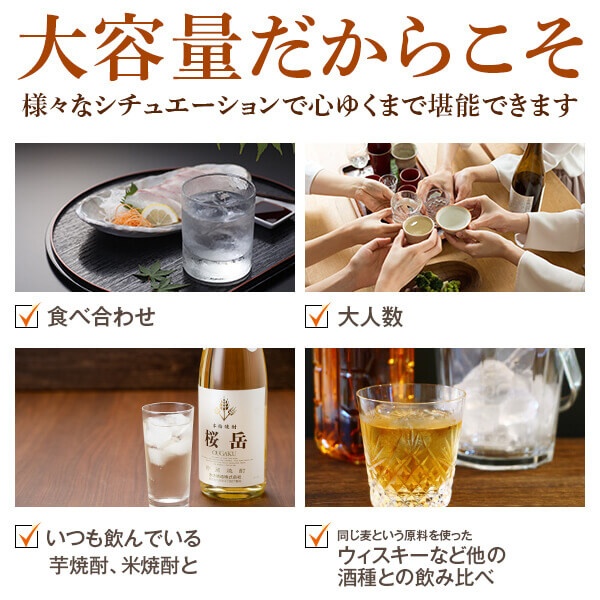 焼酎セット 麦焼酎 ギフトセット 南洲 一尋 桜岳 1800ml 3本セット