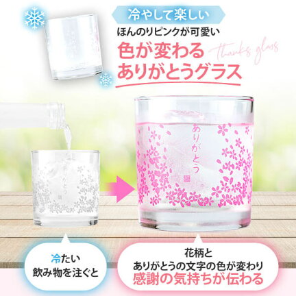 ウイスキー ギフトセット 色が変わるグラス付き 2本セット (TWIN ALPS