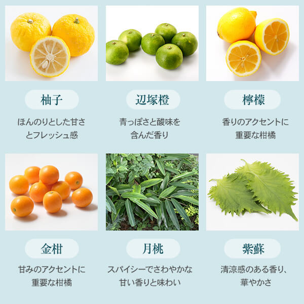 ジャパニーズジン 和美人 The Forest 47度 700ml 化粧箱入り