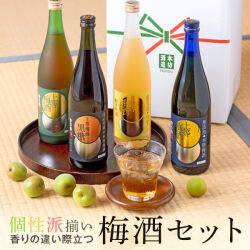 アブサン MARS absinthe Mont Cerf 63度 500ml｜本坊酒造 公式通販