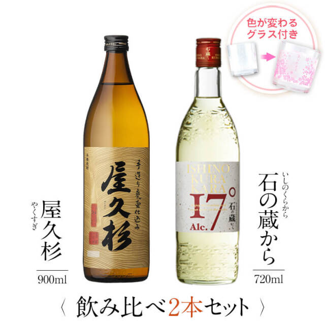 屋久杉 石の蔵から