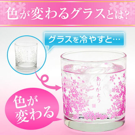 焼酎＆ワイングラス 焼酎＆ワイングラス 仮面ライダーZXx焼酎コラボ – NEWxNEW