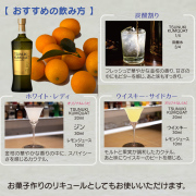 金柑リキュール TSUNUKI KUMQUAT 40度 700ml｜本坊酒造 公式通販