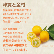 金柑リキュール TSUNUKI KUMQUAT 40度 700ml｜本坊酒造 公式通販