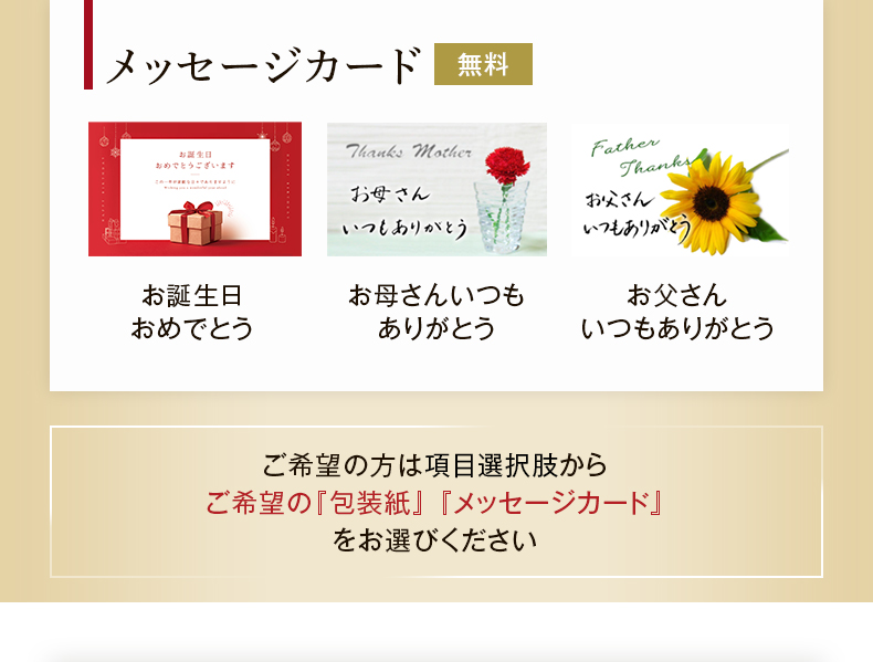 焼酎 原酒屋久杉 37度 720ml