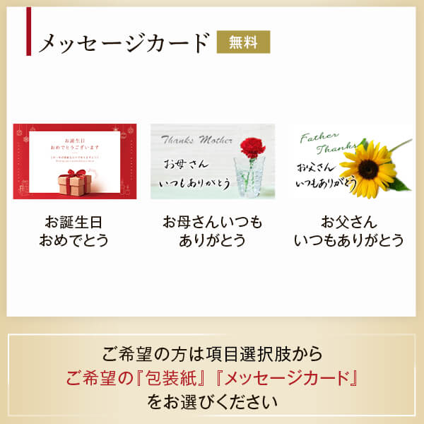 大人兵児帯【シャクヤク紅】【グリーンリリアルプ】のセット 大人兵児帯【シャクヤク紅】【グリーンリリアルプ】のセット 大人