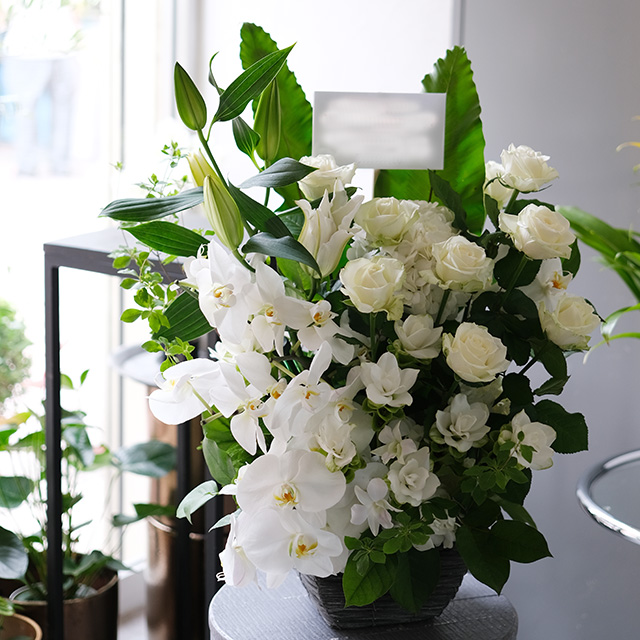 バスケット｜フラワーアレンジメント｜季節花おまかせ｜開店祝いの花・お供え花・幅広いご用途｜ホワイト＆グリーン｜20,000円｜1529082
