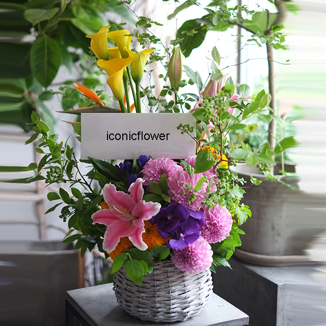 バスケット｜フラワーアレンジメント｜季節花おまかせ｜開店祝・楽屋花・御祝いの花｜マルチカラー｜12,000円｜1529005