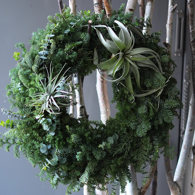 クリスマスリース｜エアプランツ種類お任せ｜直径350mm｜12,000