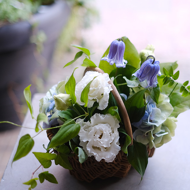 バスケット フラワーアレンジメント 季節花おまかせ 誕生日 お祝 プレゼントの花 ホワイト グリーン 4800円 Iconicflower
