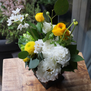 バスケット｜フラワーアレンジメント｜季節花おまかせ｜お祝い・プレゼントの花｜ホワイト＆イエロー｜7,500円｜1529057