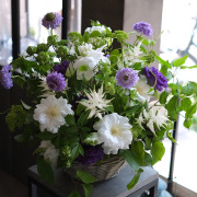 お悔やみの花　パープル