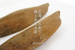 近海一本釣極上本枯本節