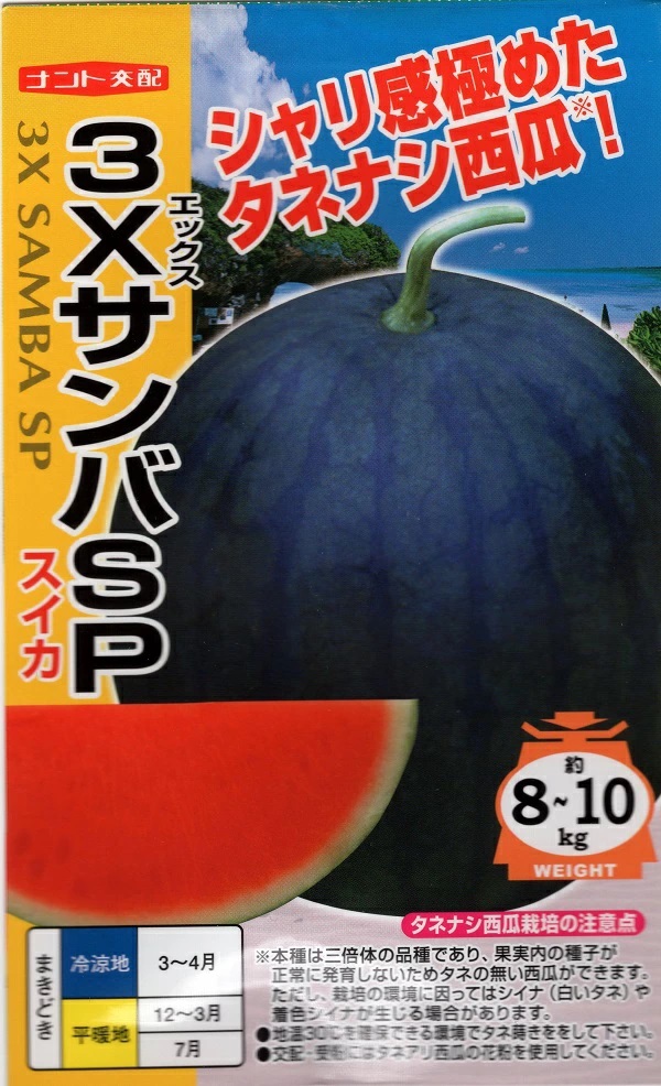 野菜種子 スイカ 3XサンバSP ナント種苗のタネ