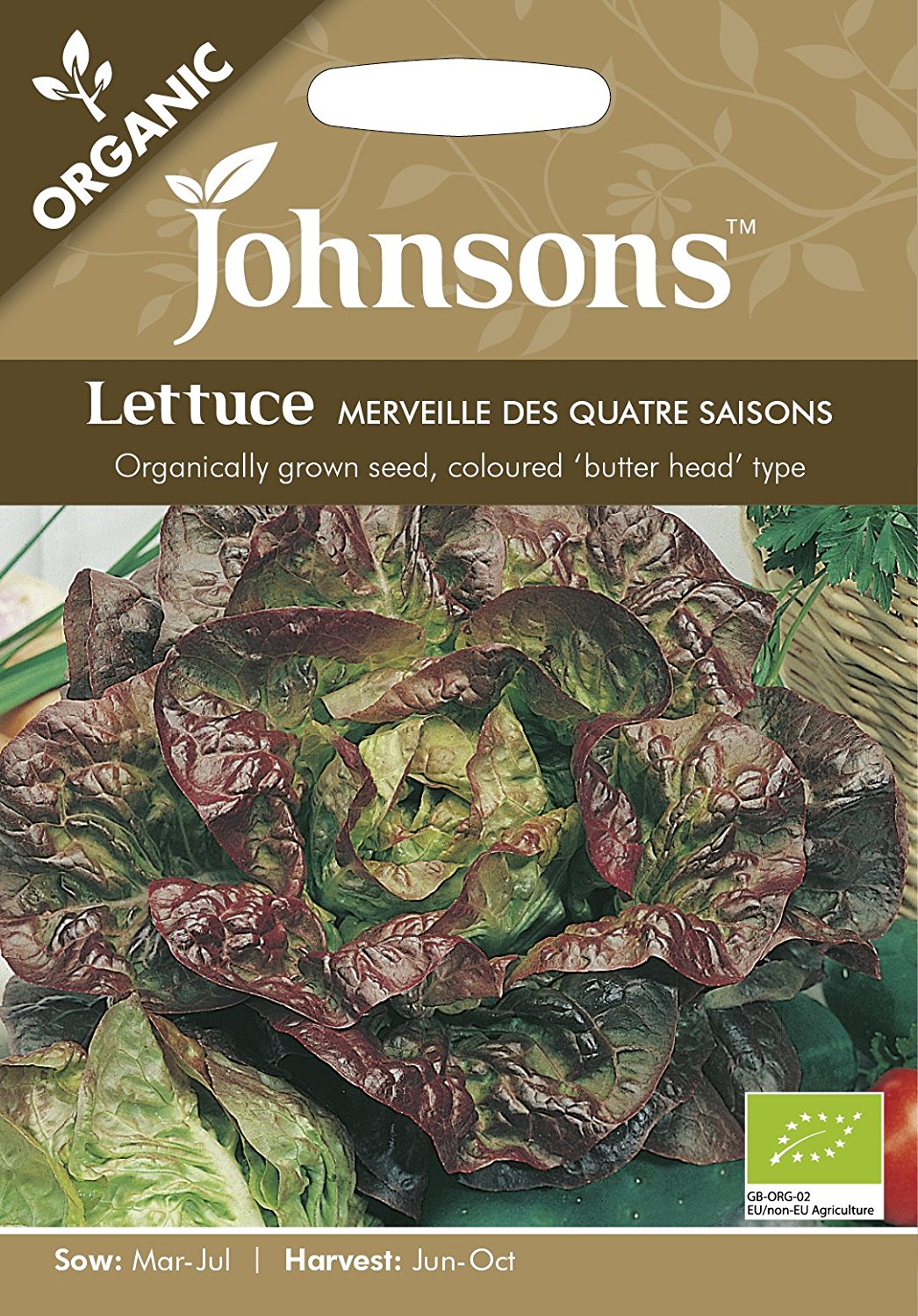 レタス　マーベル・ド・クワトロセゾン・オーガニック
