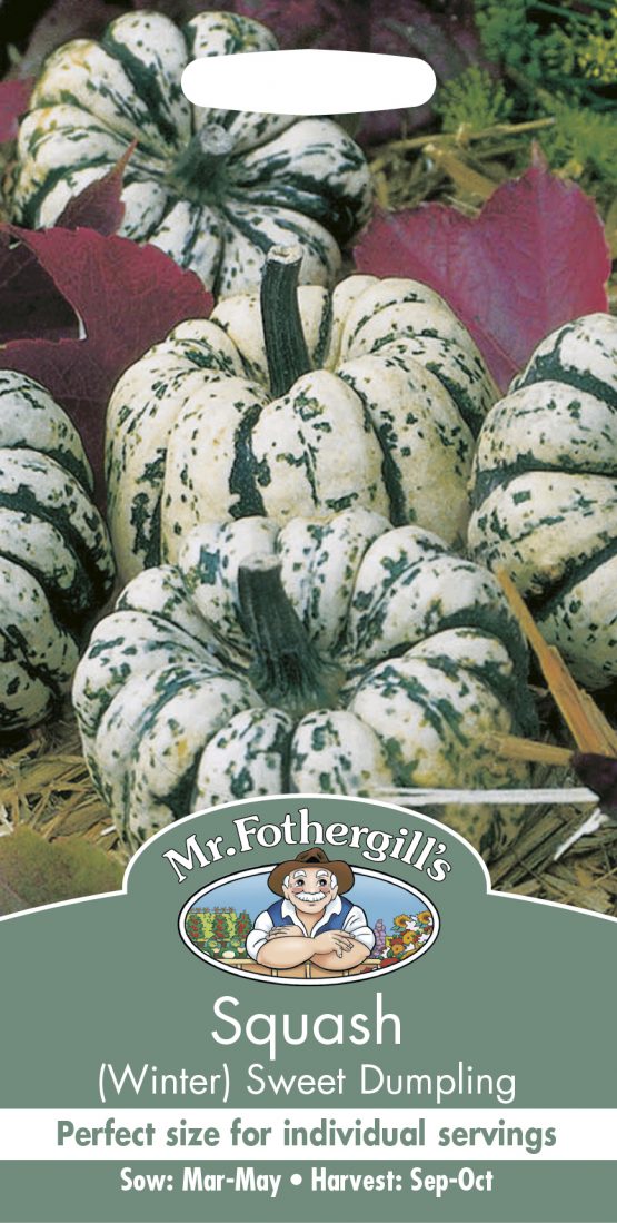 Squash (Winter) Sweet Dumpling スカッシュ（ウインター） スイート・ダンプリング
