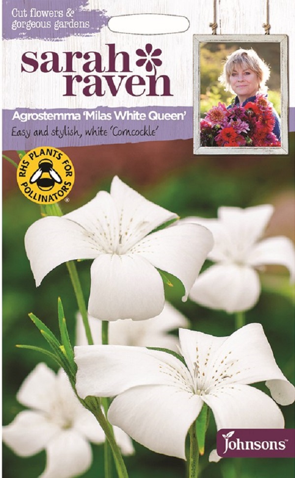 アグロステンマ ミラス・ホワイト・クイーン