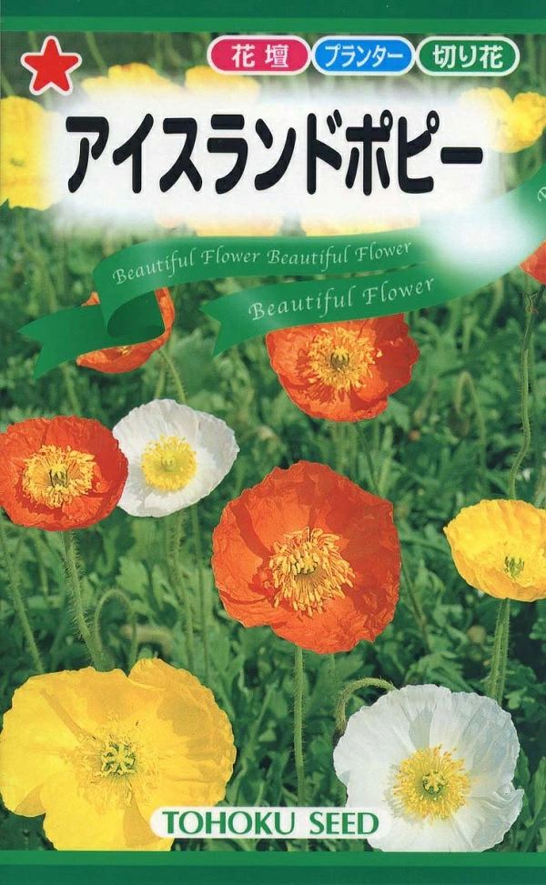 アイスランドポピー
